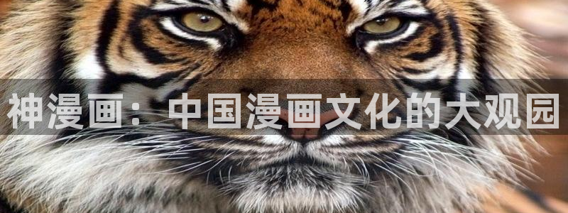 妖姬漫画在线阅读免费漫画阅读