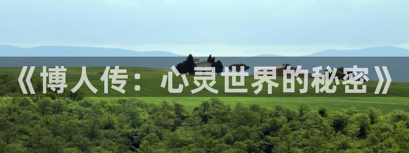 妖姬漫画.：《博人传：心灵世界的秘密》